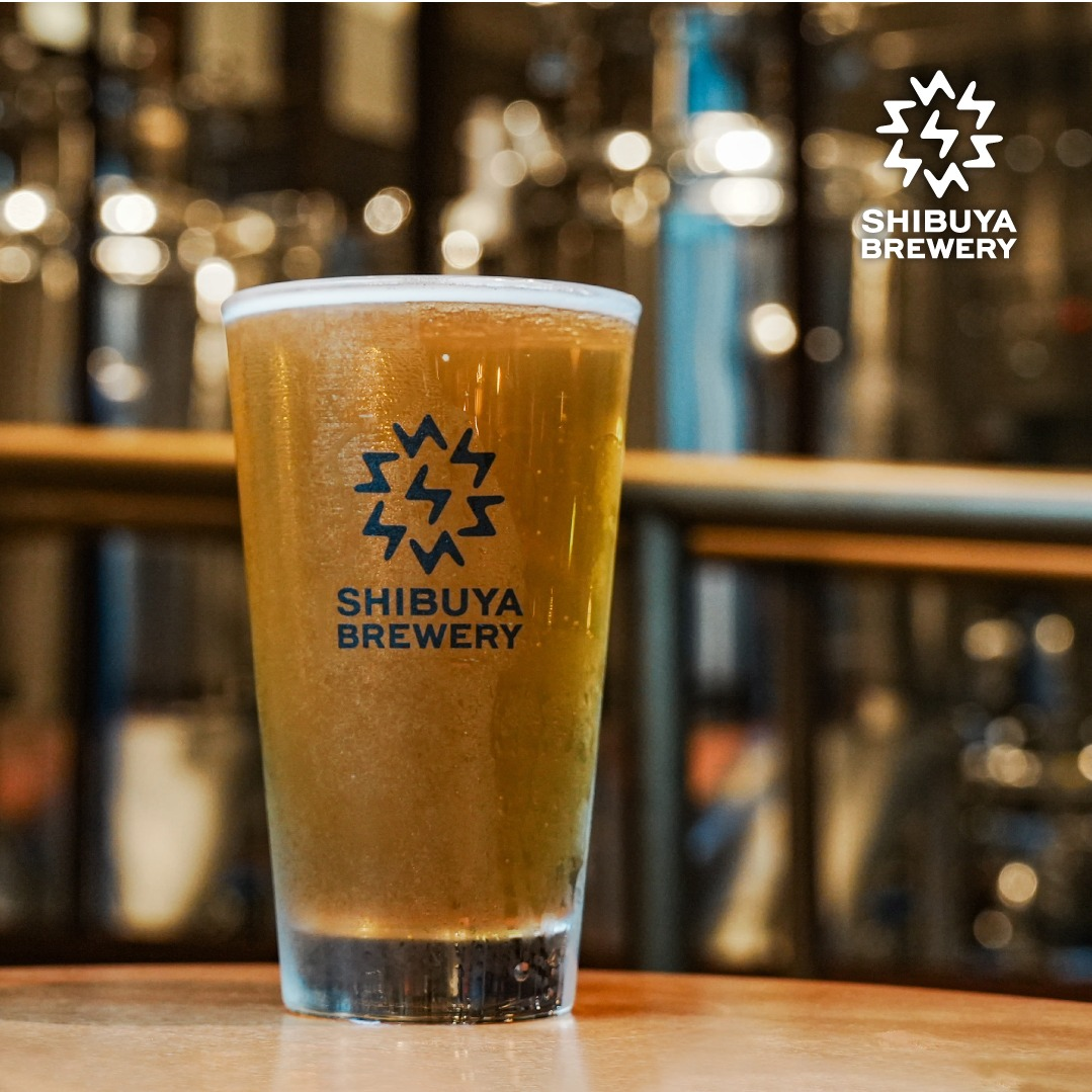 SHIBUYA BREWERY 탭 맥주 추가 알림! 반사로 비아의 West Coast Pilsner!